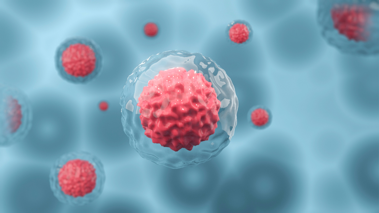 Stem cell activity chart